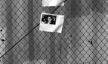 新闻诡异爆料视频播放